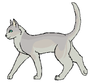 Bristlefrost Wojownik.png (5 KB) Jako wojowniczka