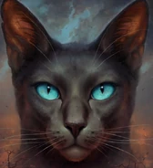 Wygląd na polskiej okładce "Zmierzchu"