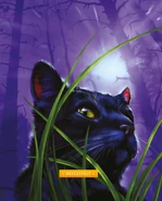 Wygląd w "Ostatecznym przewodniku: zaktualizowanej i rozszerzonej edycji"