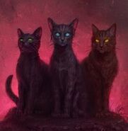 Wygląd na polskiej okładce "Widzenia" (po prawej)