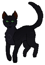 Cienistagwiazda Starclan