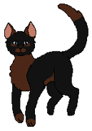 Jarzebinowa Gwiazda 2.png (3 KB) W Klanie Gwiazdy