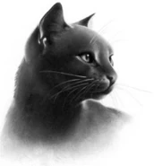 Wygląd w "Przewodniku po bitwach"