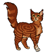 Alternatywny wygląd z polskiej okładki "Świtu"