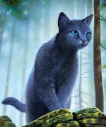 Wygląd z pełnej okładki "Przepowiedni Błękitnej Gwiazdy"