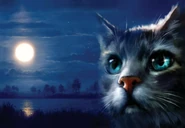 NP-4-FC-RR.png (2,72 MB) Pełna wersja nowszej okładki angielskiej wersji językowej