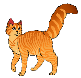 Strzyżkowylot queenn