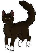 Białypazurkg.png (16 KB) W Klanie Gwiazdy