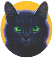 Wygląd na starszej okładce "Pierwszej bitwy"