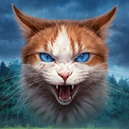 Wygląd na odświeżonej polskiej okładce "Niebezpiecznej ścieżki"