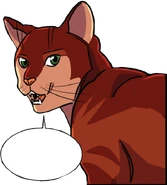 Wygląd w kolorowym wydaniu "Powrotu do klanów"