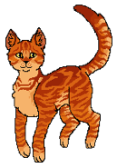 Bouncefire KG.png (9 KB) W Klanie Gwiazdy