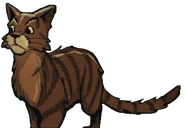 Wygląd w "Poza kodeksem"