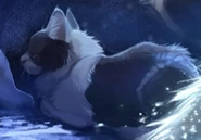 Wygląd na polskiej okładce "Przekleństwa Gęsiego Pióra"