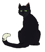 Kruczałapa samotnik.png (6 KB) Jako samotnik