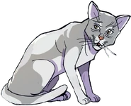 Wygląd w kolorowym wydaniu "Ucieczki w las"