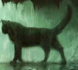 Wygląd na polskiej okładce "Mrocznej rzeki"