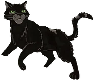 Wygląd na okładce "Wygnania z Klanu Cienia"