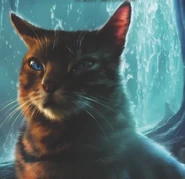 Wygląd na nowszej angielskiej okładce "Znaku księżyca"