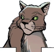 Wygląd w mandze "Wiatry zmian"