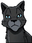 Wygląd w mandze "Wiatry zmian"