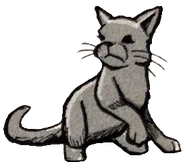 Wygląd w "Burzy Jeżynowej Gwiazdy