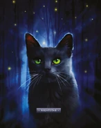 Wyglą w "Ostatecznym przewodniku: zaktualizowanej i rozszerzonej edycji"