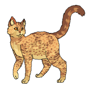 Leafstar Karmicielka.png (14 KB) Jako karmicielka