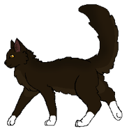 Białypazurwojow.png (18 KB) Jako wojownik