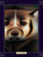 Midnight.FG-6.png (281 KB) Wygląd Północy w "Ostatecznym przewodniku"