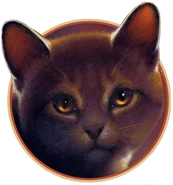 Wygląd na angielskiej okładce "Burzy Jeżynowej Gwiazdy"