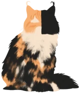 Profil na oficjalnej stronie