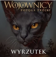 Wygląd na polskiej okładce "Wyrzutka"