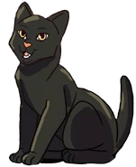 Tadpole T&S.png (141 KB) Wygląd w kolorowym wydaniu "Powrotu do klanów"