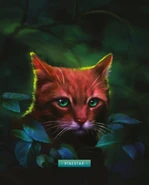 Pinestar UG-UE.png (224 KB) Wygląd w "Ostatecznym przewodniku: zaktualizowanej i rozszerzonej edycji"