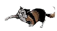 Jaszczurr.png (32 KB) Wygląd na angielskiej okładce mangi "Zmącony spokój"