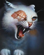 Wygląd w "Kotach klanów" oraz w "Ostatecznym przewodniku"