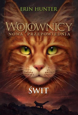 Świt (Polska)