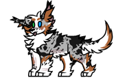 Miajakoowczarek.png (47 KB)