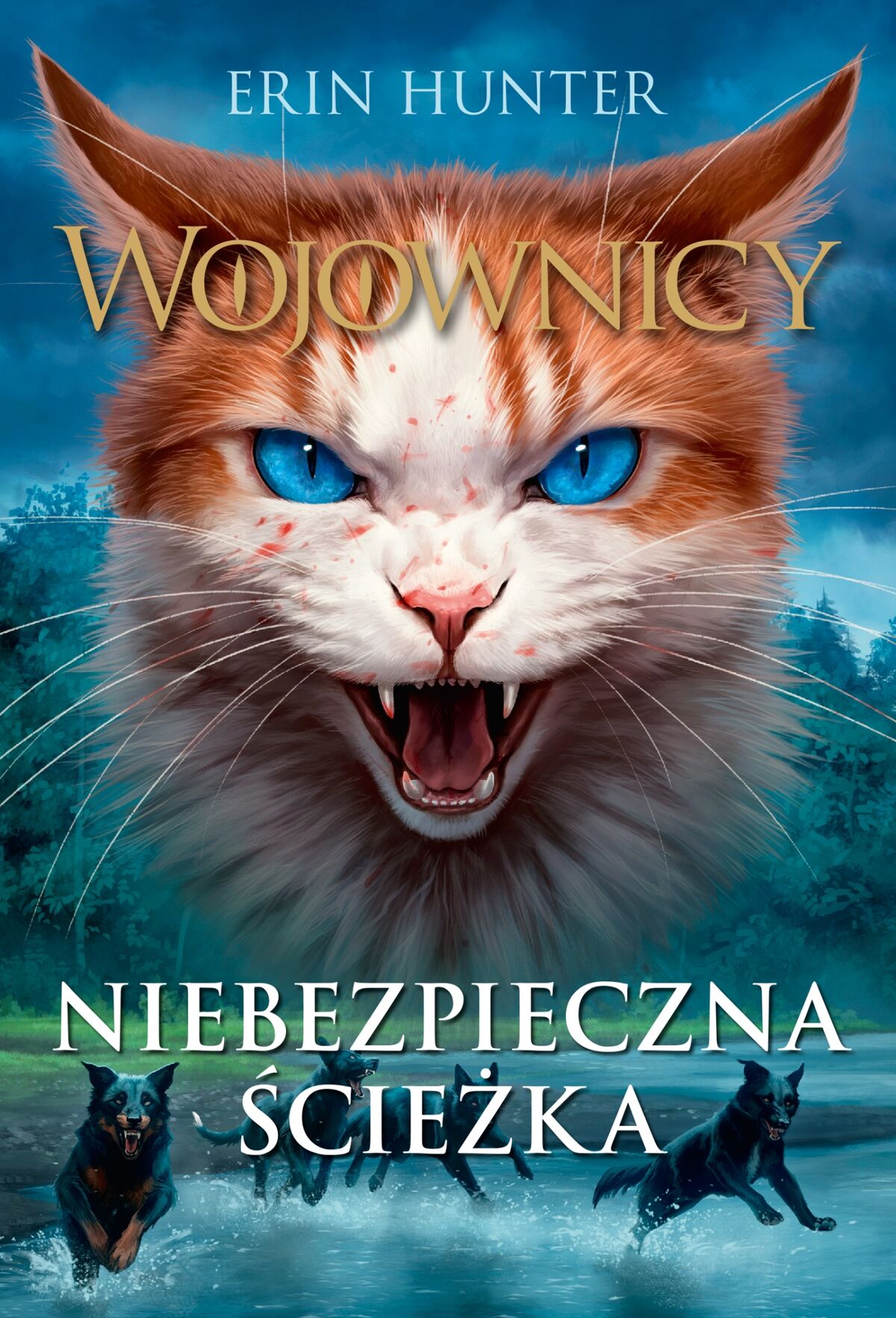 Tygrysia Gwiazda I Sasza Powrót Do Klanów Niebezpieczna ścieżka/Spis klanów | Wojownicy Wiki | Fandom