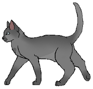 Jako wojowniczka