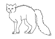 Dark ForestDW.png (3 KB) Baza długowłosego kota z Mrocznej Puszczy (oryginalna)