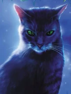 Wygląd na nowej okładce "Pierwszej bitwy"