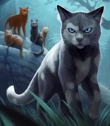 CloudstarCJ.png (164 KB) Wygląd na polskiej okładce "Tułaczki Chmurnej Gwiazdy"