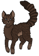 Wydrazony.png (9 KB) W Klanie Gwiazdy
