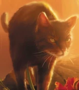 Wygląd z angielskiej okładki "Misji ucznia"