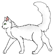 BiałeSkrzydło Warrior.png (10 KB) Jako wojowniczka