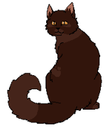 Jessy Samotniczka.png (3 KB) Jako samotniczka