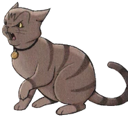 Ale wkurzona.png (422 KB) Wygląd na okładce "Schronienia wojownika"