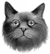 Wygląd w "Sekretach klanów"